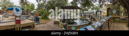 Das David A. Straz Jr. Manatee Critical Care Center in ZooTampa im Lowry Park - Tampa, Florida, USA Stockfoto