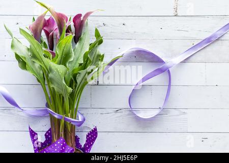 Violette Cala-Lilien und ein violettes Band zum Internationalen Frauentag. Stockfoto