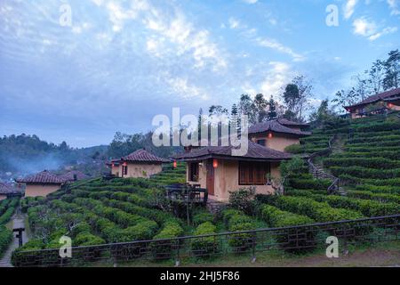 Sonnenaufgang im Lee Wine Rak Thai, chinesische Siedlung, Mae Hong Son, Thailand, wunderschöne Landschaft während des Sonnenaufgangs im chinesischen Dorf unter der Tea Plantation bei Ban Rak Thai, Mae Hong Son in Thailand. Stockfoto