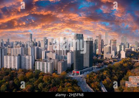 Blick auf die Skyline von Toronto mit Herbstblättern rund um das Stadtbild Stockfoto