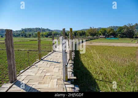 Die Bambusbrücke des Glaubens über die Reisfelder in Mae Hong Son in Thailand, wunderschöne Aussicht auf die Bambusbrücke zu Tong Pae, vorbei an Reisfeldern bei Sonnenuntergang in Mae Hong Son, Thailand Stockfoto