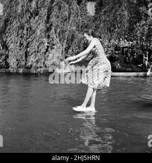 Ein Bootsrennen in Oxford und Cambridge mit einem Unterschied. Es ist das jährliche Punt Relay Race, das abwechselnd in Oxford und Cambridge stattfindet. Das diesjährige Rennen fand auf der River Cam in Cambridge statt. Im Bild springt Felicity Willis während eines Wechsels von ihrem Punt, landet aber im Wasser. 19th Mai 1957. Stockfoto