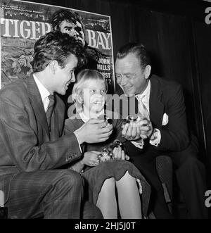 Die 12-jährige Schauspielerin Hayley Mills hält eine Pressekonferenz im Leicester Square Theatre ab, um ihren großen Erfolg im Film „Tiger Bay“ zu feiern. Sie ist mit ihren Mitspielern im Film, ihrem Vater John Mills (rechts) und Horst Buchholz abgebildet. 25th. März 1959. Stockfoto