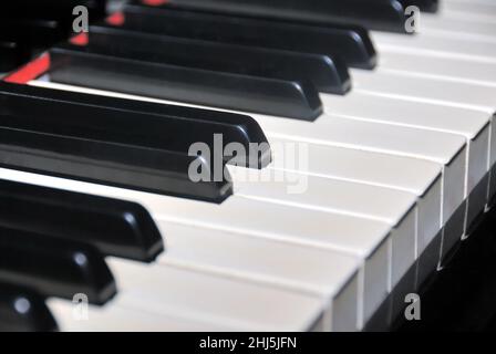 Ebony und Ivory Grand Piano keys. Schließen oben mit flachen Fokus Stockfoto