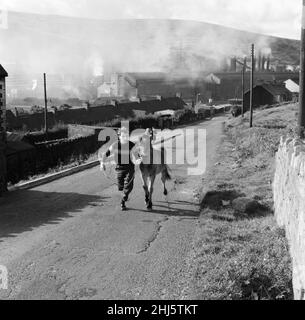 Tredegar, Blaenau Gwent, Wales. Gelegen innerhalb der historischen Grenzen von Monmouthshire. Ein Junge, der mit einem Pony auf einer Straße läuft. September 1960. Stockfoto