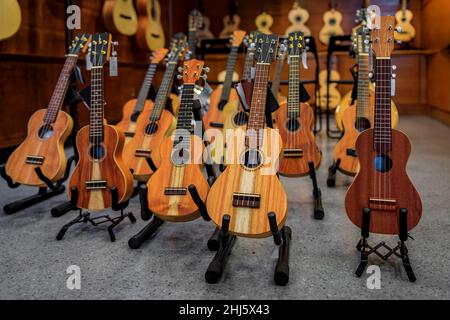 Traditionelle 4-saitige Akustikgitarren zum Verkauf in einem Musikinstrumentengeschäft in Porto, Portugal Stockfoto