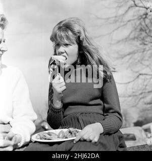 Hayley Mills stellte sich in Downham, Lancashire, in der Sonne vor und studierte das Drehbuch des Films „Whistle Down the Wind“. Der Film wird auf einer Farm dort gedreht und Hayley ist dabei. Das Drehbuch wurde nach einem Roman ihrer Mutter adaptiert. 21st. Februar 1961. Stockfoto