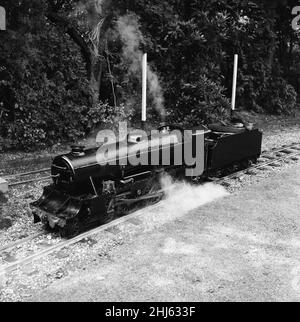 Eisenbahnliebhaber kommen in der Miniatureisenbahn in 'Greywood', dem Garten von Sir John Samuel, im Burwood Park, Walton-on-Thames, auf ihre Kosten. 13th. August 1961. Stockfoto