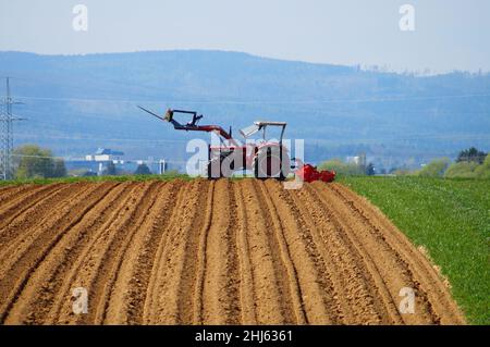 Ein Traktor am Horizont eines frisch zubereiteten Kartoffelfeldes. Stockfoto