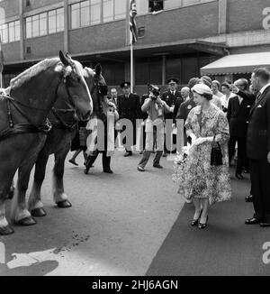 Königin Elizabeth II. Und Prinz Philip, Herzog von Edinburgh, besuchen Dänemark. Queen Elizabeth blickt auf die prächtigen Pferde der Carlsberg Breweries. 22nd Mai 1957. Stockfoto