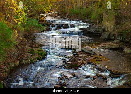 Der 15 Meilen lange West Branch Wallenpaupack Creek in den Pocono und Moosic Mountains in Pennsylvania ist ein Nebenfluss der Lackawaxen und Delaware Riws. Stockfoto