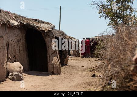 AMBOSELI-NATIONALPARK - 17. SEPTEMBER 2018: Tägliches Leben der trabalen Maasai-Menschen in ihrem Dorf Stockfoto