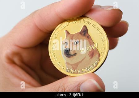 Dogecoin Kryptowährung Münze in der Hand gehalten. Dogecoin ist eine Kryptowährung, eine digitale Währung. Stockfoto