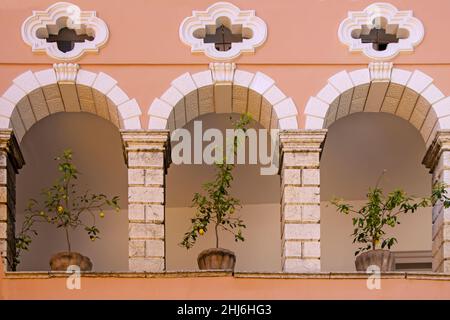 Zitronenbäume im alten Tontopf in Limone Sul Garda, am Gardasee Stockfoto