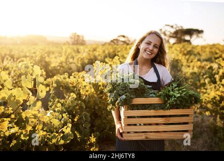 Stoppst du deine Speisekammer mit frischen Produkten. Aufnahme einer jungen Frau, die auf einem Bauernhof eine Kiste voller frisch gepflückter Produkte in der Hand hält. Stockfoto