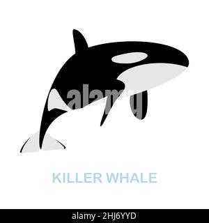 Flaches Symbol für Killerwale. Farbiger Elementschild aus der Wildtiersammlung. Flaches Killer Whale Icon-Zeichen für Webdesign, Infografiken und mehr. Stock Vektor