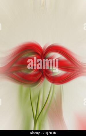 Geheimnisvolle, farbenfrohe, fraktale Neonlichter mit Blumenmuster. Nahtloses Muster Fine Art Gradient bunte wirbeln Effekt Farbstruktur. Marmor gedrehte Tinte Lichtfaser Stockfoto