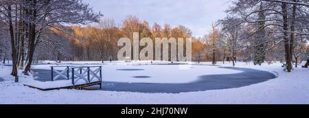 Winter im Park mit gefrorenem See in der Ukraine Stockfoto
