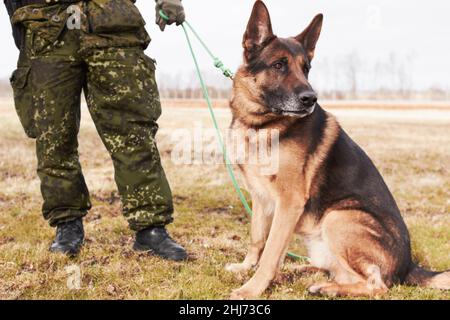 Bester Freund des Soldaten. Ein Soldat steht mit seinem Hund. Stockfoto