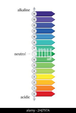 Horizontales pH-Diagrammmessgerät für Säure- und Grundlösungen auf weißem Hintergrund isoliert. Stock Vektor