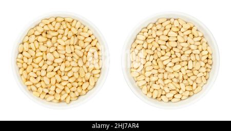 Zeder- und Pinienkerne, in weißen Schalen. Sibirische Pinienkerne (linke Schale), Pinus sibirica und chinesische weiße Pinienkerne (rechte Schale), Pinus armandii. Stockfoto