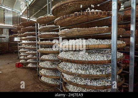 Kleine Seidenfabrik um Da Lat in Vietnam Stockfoto