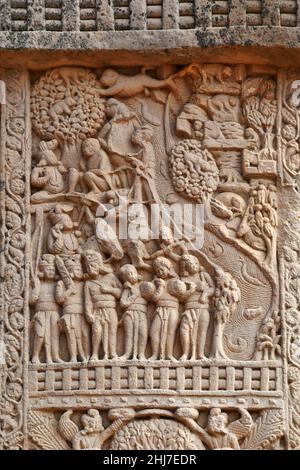 Stupa No 1, West Gateway, Rechte Säule, Frontwand, Tafel 1 : Mahakapi Jataka. Weltkulturerbe, Sanchi, Madhya Pradesh, Indien Stockfoto