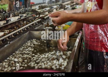 Kleine Seidenfabrik um Da Lat in Vietnam. Stockfoto