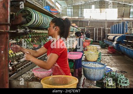 Kleine Seidenfabrik um Da Lat in Vietnam. Stockfoto