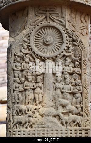 Stupa Nr. 1, Südtor, linke Pfeilerfront, Tafel 1 : Dharma Chakra auf Säule. Weltkulturerbe, Sanchi, Madhya Pradesh, Indien Stockfoto