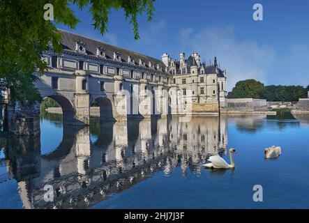 Das Renaissance Chateau de Chenonceau, das den Fluss Cher, Indre-et-Loire, umspannt, wurde 1514–1522 erbaut. Die Brücke über den Fluss wurde (1556-1559) zu gebaut Stockfoto