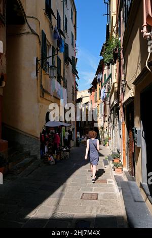 Manarola, eines der Dörfer der Cinque Terre an der italienischen Riviera. Stockfoto