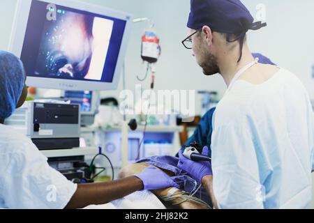 Durchführen einer empfindlichen bildgeführten Operation. Aufnahme eines, das während eines medizinischen Eingriffs ein Bild auf einem Monitor ansieht. Stockfoto