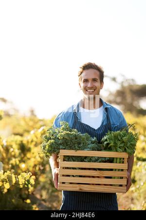 Ich liefere gesunde Lebensmittel zu einem sehr erschwinglichen Preis Stockfoto