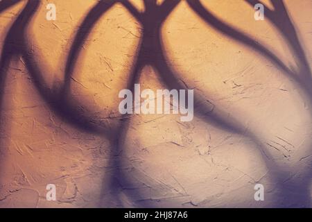 Licht aus dem Fenster an der Betonwand im Gebäude. Ein Spiel von Schatten und Farbe von den fallenden Strahlen der Sonne auf einer Zementoberfläche Stockfoto