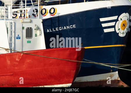 Fischerboote an der Küste werden am Dock im Scarborough Harbour angeliefert. Die Fischerei ist eine Branche, die nach Jahren überfischter Ausbeutung und EU-Fischereivorschriften im Niedergang ist Stockfoto