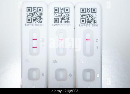 Zwei positive Ergebnisse und ein einziges negatives Testergebnis. Drei Lateral Flow Test / LFT / LFD / Lateral Flow Devices Kits / Device Kit, von denen zwei während der Antigenhome-Tests in London positiv (mit zwei roten Linien) auf COVID 19-Virus-Coronavirus getestet wurden. VEREINIGTES KÖNIGREICH. Um positiv zu erscheinen, werden zwei rote Linien angezeigt. Ein Test zeigt, dass die positive Linie schwach/schwach ist. Der dritte Test, der nur eine Zeile zeigt, ist ein negativer Test. Der Test (durch Flowfex hergestellt in China) hat Virus in der Probe Nasenabstrich aus der Nase gefunden. Die Tests veranschaulichen die Genesung und Genesung von Covid-Infektionen. (128) Stockfoto