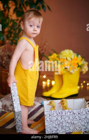 Baby zu ostern, Schachtel mit Gänsen Stockfoto