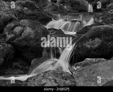 North End Lake Cushman Stockfoto