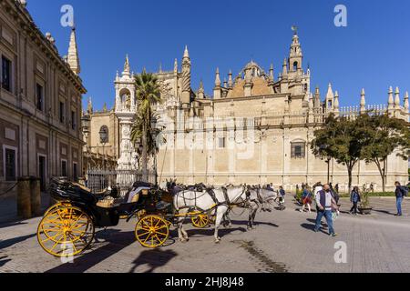 Sevilla, Spanien - 08 2021. November: In der Kathedrale von Sevilla im historischen Zentrum wartet an einem sonnigen Tag i eine Pferdekutsche auf Touristen Stockfoto