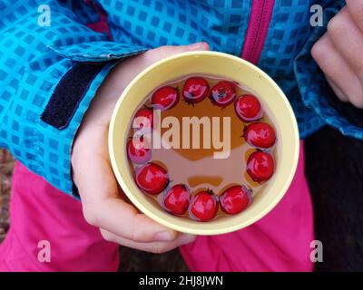Kinderhand mit einer Tasse Weißdorntee im Freien Stockfoto