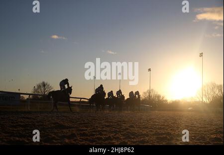 Läufer und Reiter in Aktion während des Betway Handicap auf der Rennbahn von Newcastle. Bilddatum: Donnerstag, 27. Januar 2022. Stockfoto