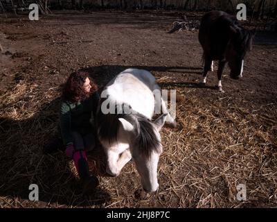 Hochwinkelansicht des Weibchens in grüner Polar Fleece-Jacke, die an der Seite eines weißen Ponys sitzt, mit einem anderen schwarzen Pony im Hintergrund. Stockfoto
