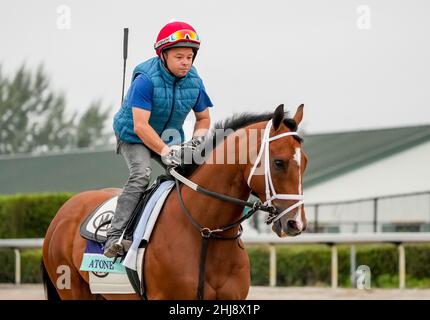 Hallandale Beach, FL, USA. 27th Januar 2022. 27. Januar 2022: Atonübungen während der Pegasus World Cup Invitational Week im Gulfstream Park in Hallandale Beach, Florida. Scott Serio/Eclipse Sportswire/CSM/Alamy Live News Stockfoto