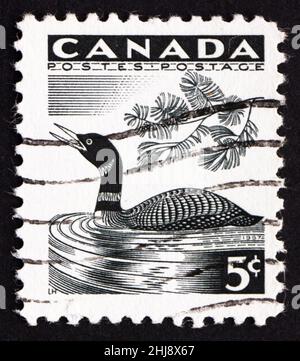 KANADA - UM 1957: Eine in Kanada gedruckte Marke zeigt Loon, Bird, um 1957 Stockfoto