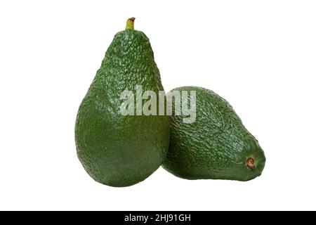 Bild von zwei reifen Avocados auf weißem Hintergrund Stockfoto