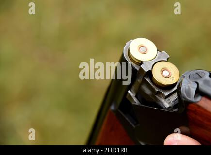 Schrotflinte in Jägerhand. Hunter lädt Cartridge-Schusswaffen mit Schuss in eine doppeltarrelierte Schrotflinte. Schusswaffenmunition für Jagdgewehr. Shotgun mit einer Stärke von 12 Stockfoto