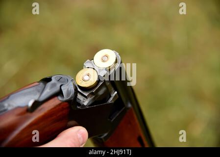 Schrotflinte in Jägerhand. Hunter lädt Cartridge-Schusswaffen mit Schuss in eine doppeltarrelierte Schrotflinte. Schusswaffenmunition für Jagdgewehr. Shotgun mit einer Stärke von 12 Stockfoto