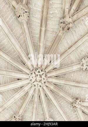 Mittelalterliche Steinrippen, die die Decke des Kapitelhauses an der Kathedrale in Southwell, England, ragen. Stockfoto