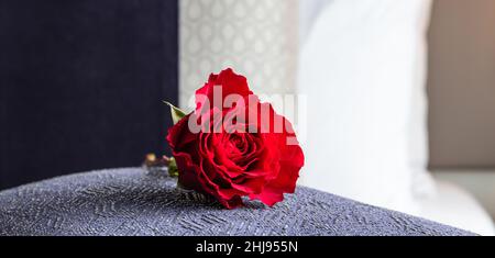 Rote Rose auf dem Kissen liegend. Stockfoto